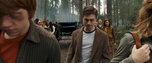 Click to view full size image
==============
OdF-Potterish_9232.jpg OdF-Potterish_9232.jpg