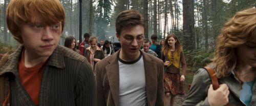 Click to view full size image
==============
OdF-Potterish_9234.jpg OdF-Potterish_9234.jpg
