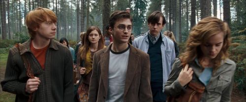 Click to view full size image
==============
OdF-Potterish_9243.jpg OdF-Potterish_9243.jpg
