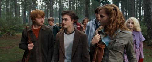 Click to view full size image
==============
OdF-Potterish_9249.jpg OdF-Potterish_9249.jpg