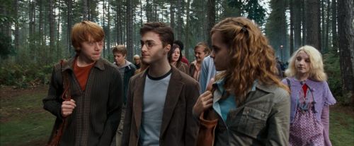 OdF-Potterish_9250.jpg