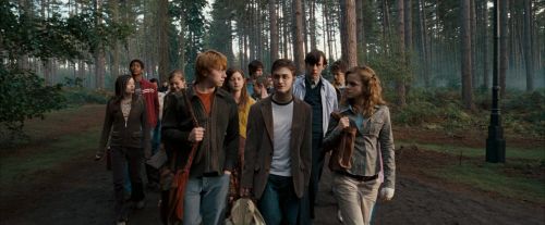 Click to view full size image
==============
OdF-Potterish_9251.jpg OdF-Potterish_9251.jpg