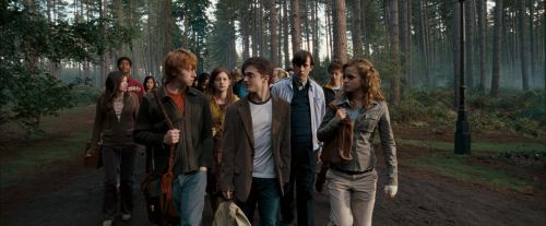 Click to view full size image
==============
OdF-Potterish_9252.jpg OdF-Potterish_9252.jpg