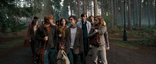 Click to view full size image
==============
OdF-Potterish_9253.jpg OdF-Potterish_9253.jpg