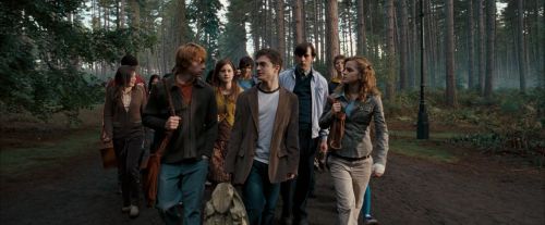 Click to view full size image
==============
OdF-Potterish_9254.jpg OdF-Potterish_9254.jpg