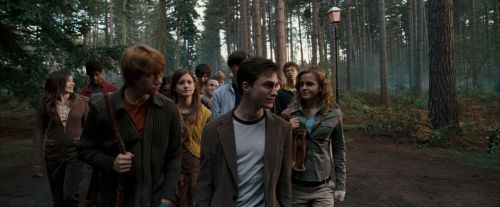 Click to view full size image
==============
OdF-Potterish_9258.jpg OdF-Potterish_9258.jpg