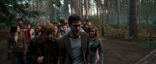 OdF-Potterish_9259.jpg