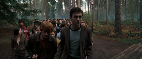 Click to view full size image
==============
OdF-Potterish_9260.jpg OdF-Potterish_9260.jpg