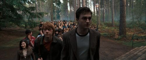 Click to view full size image
==============
OdF-Potterish_9261.jpg OdF-Potterish_9261.jpg