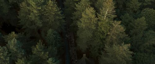 Click to view full size image
==============
OdF-Potterish_9274.jpg OdF-Potterish_9274.jpg