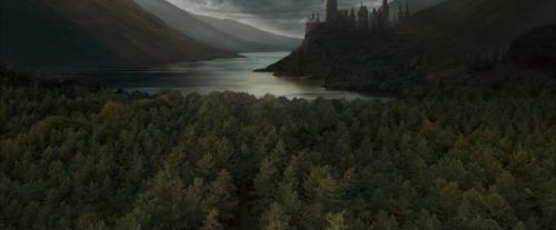 Click to view full size image
==============
OdF-Potterish_9282.jpg OdF-Potterish_9282.jpg
