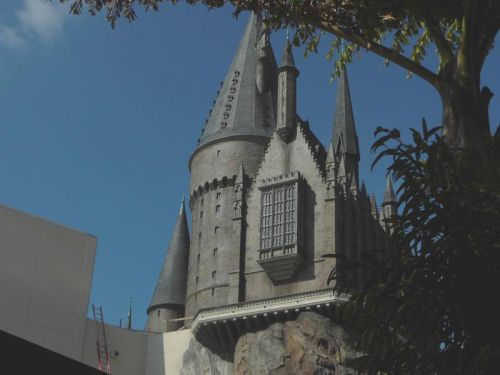 P1020876.jpg