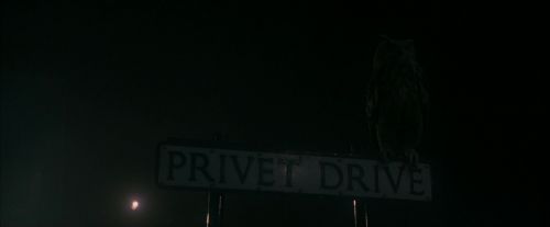 Click to view full size image
==============
PF-Potterish_00030.jpg PF-Potterish_00030.jpg
