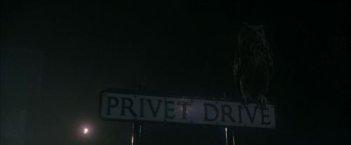 Click to view full size image
==============
PF-Potterish_00031.jpg PF-Potterish_00031.jpg