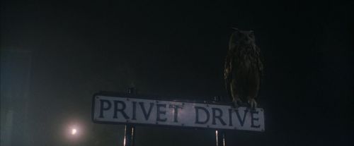 PF-Potterish_00033.jpg