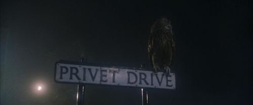 PF-Potterish_00034.jpg