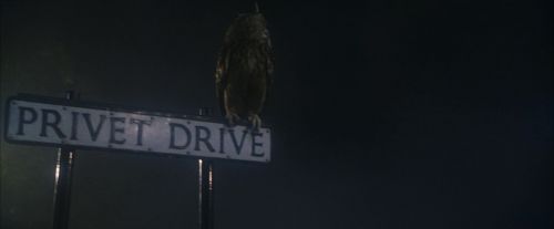 Click to view full size image
==============
PF-Potterish_00036.jpg PF-Potterish_00036.jpg