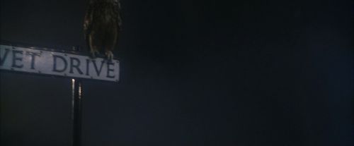 PF-Potterish_00037.jpg