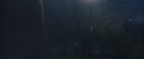 PF-Potterish_00055.jpg
