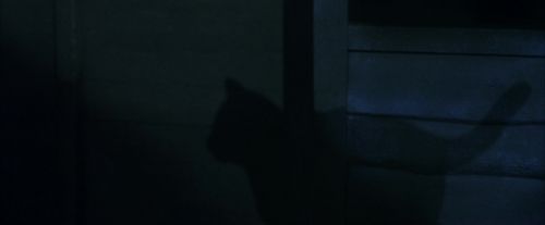 PF-Potterish_00134.jpg