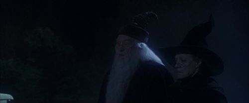 Click to view full size image
==============
PF-Potterish_00158.jpg PF-Potterish_00158.jpg