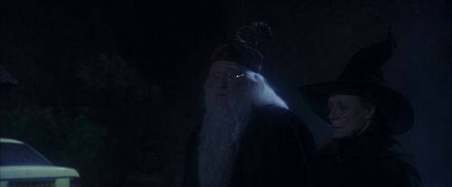 PF-Potterish_00159.jpg