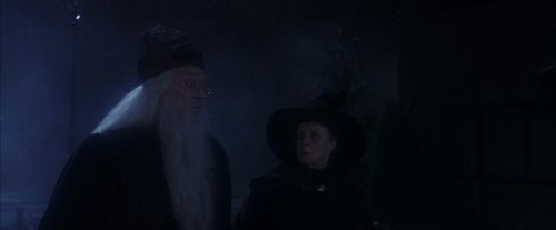 PF-Potterish_00162.jpg