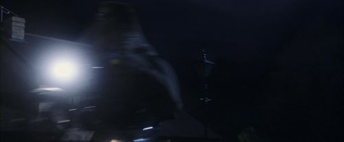 PF-Potterish_00193.jpg