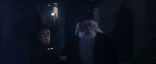 PF-Potterish_00202.jpg
