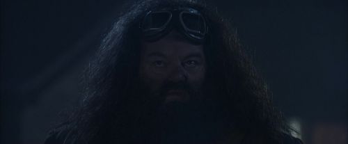 PF-Potterish_00272.jpg