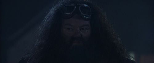 PF-Potterish_00273.jpg