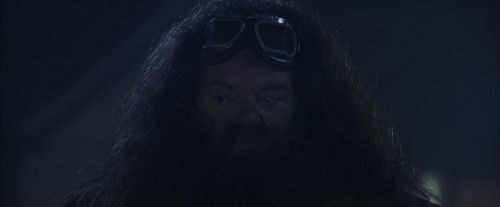 PF-Potterish_00274.jpg