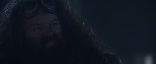 Click to view full size image
==============
PF-Potterish_00299.jpg PF-Potterish_00299.jpg
