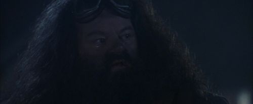 PF-Potterish_00300.jpg