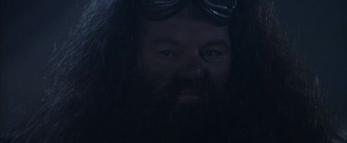 Click to view full size image
==============
PF-Potterish_00310.jpg PF-Potterish_00310.jpg