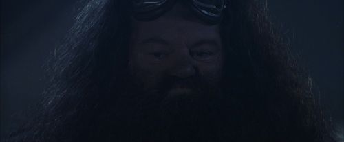 Click to view full size image
==============
PF-Potterish_00311.jpg PF-Potterish_00311.jpg