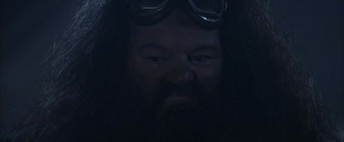 Click to view full size image
==============
PF-Potterish_00312.jpg PF-Potterish_00312.jpg