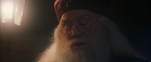 PF-Potterish_00329.jpg