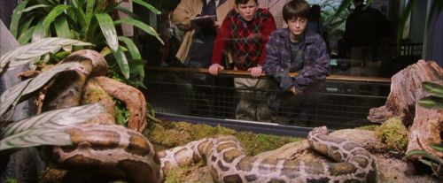 PF-Potterish_00522.jpg