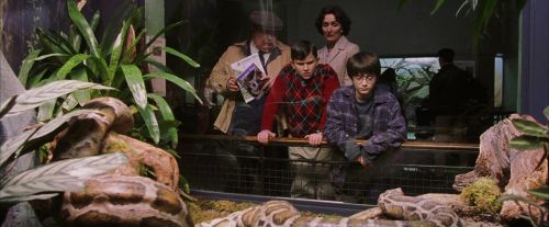 Click to view full size image
==============
PF-Potterish_00524.jpg PF-Potterish_00524.jpg