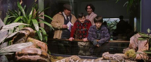 Click to view full size image
==============
PF-Potterish_00525.jpg PF-Potterish_00525.jpg