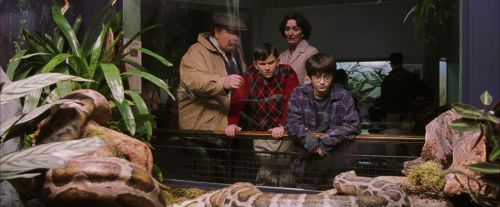 PF-Potterish_00526.jpg