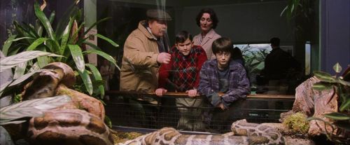 Click to view full size image
==============
PF-Potterish_00527.jpg PF-Potterish_00527.jpg