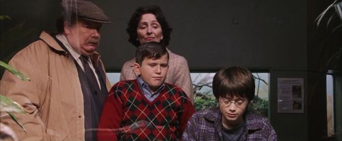 PF-Potterish_00536.jpg