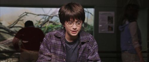 PF-Potterish_00545.jpg