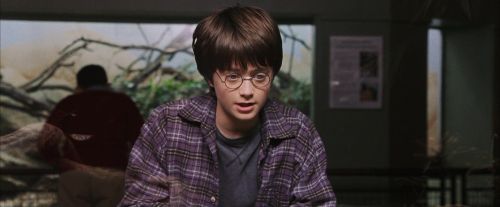 PF-Potterish_00546.jpg