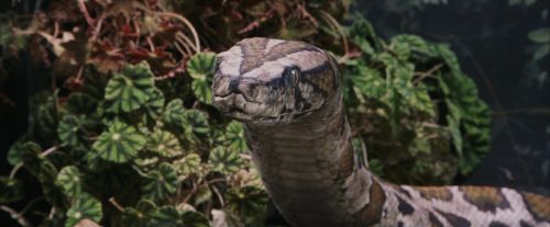 PF-Potterish_00567.jpg