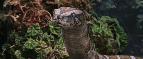 PF-Potterish_00568.jpg