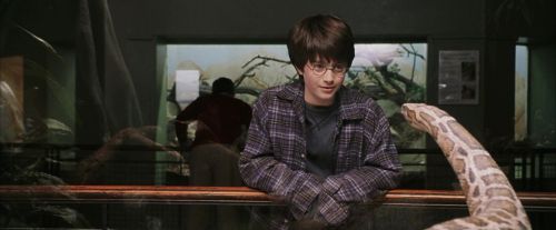 PF-Potterish_00571.jpg