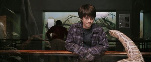 PF-Potterish_00572.jpg